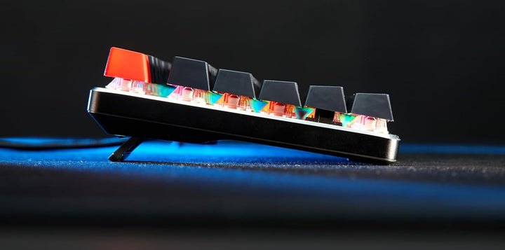 Glorious Gaming GMMK Full Size (100%) – Mechanisches Gaming-Keyboard, Gateron Brown Schalter (taktil
