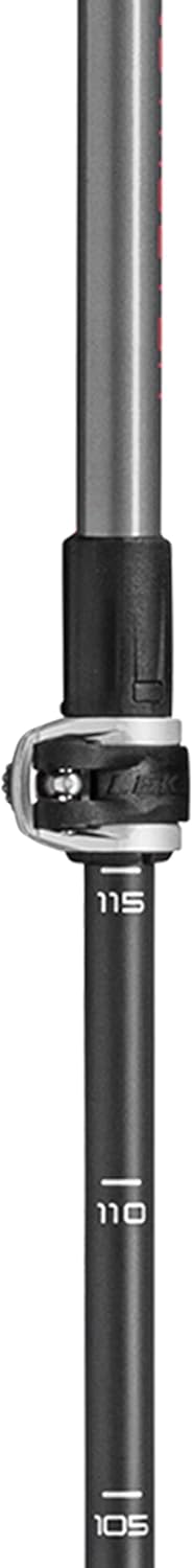 LEKI Instructor Lite Stöcke dark anthracite-silvergray, dark anthracite-silvergray