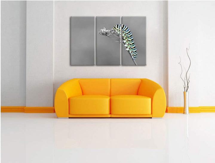Grüne Raupe auf Ast Insekten Urwald Tiere schwarz/weiss 3-Teiler Leinwandbild 120x80 Bild auf Leinwa