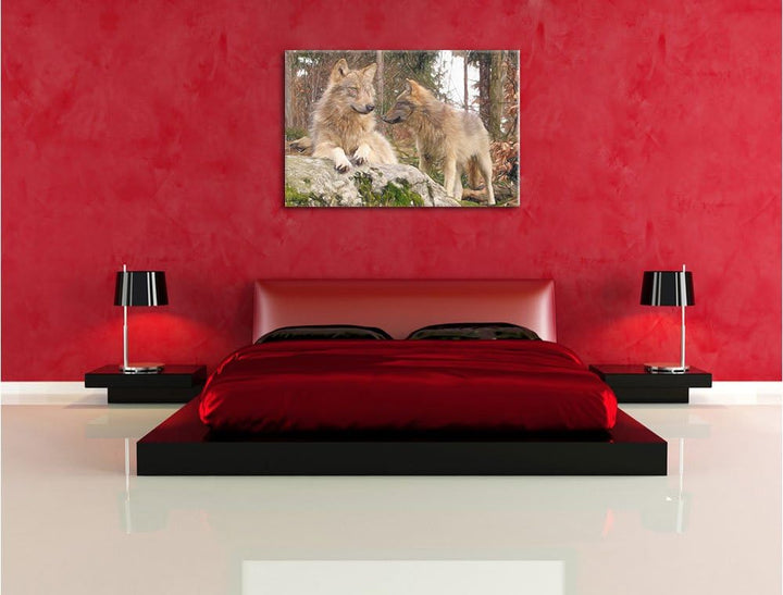 Pixxprint Wölfe im Wald / 100x70cm Leinwandbild bespannt auf Holzrahmen/Wandbild Kunstdruck Dekorati