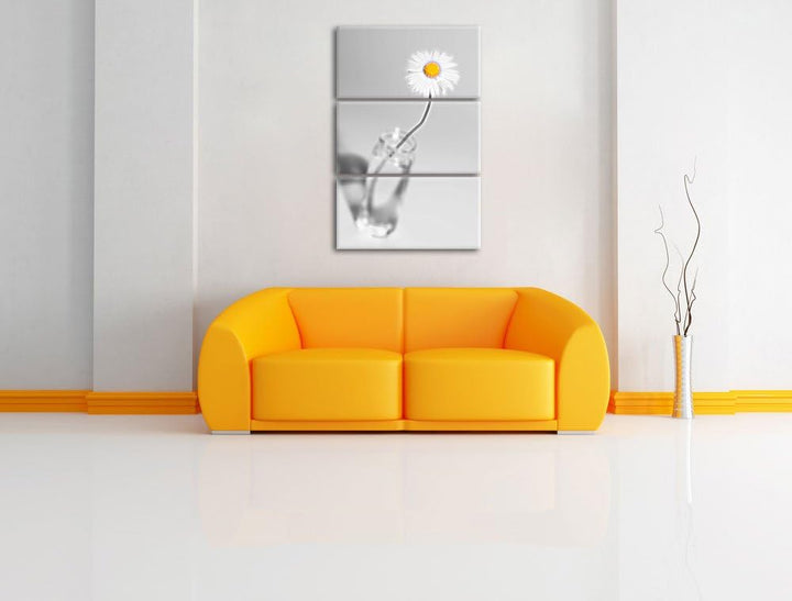 zartes Gänseblümchen im stilvollen Glas schwarz/weiss Deluxe 3-Teiler Leinwandbild 120x80 Bild auf L