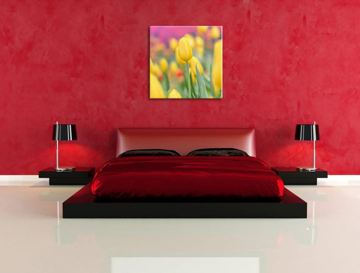 Gelbe Tulpen im Frühling, Format: 70x70 auf Leinwand, XXL riesige Bilder fertig gerahmt mit Keilrahm