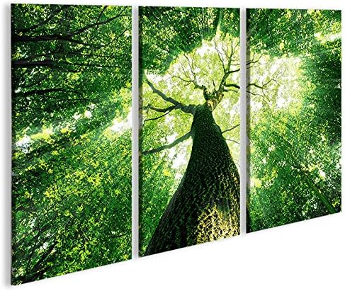 islandburner Bild Bilder auf Leinwand Baumkrone Grün Wald Sonnenstrahlen Bäume 3p XXL Poster Leinwan
