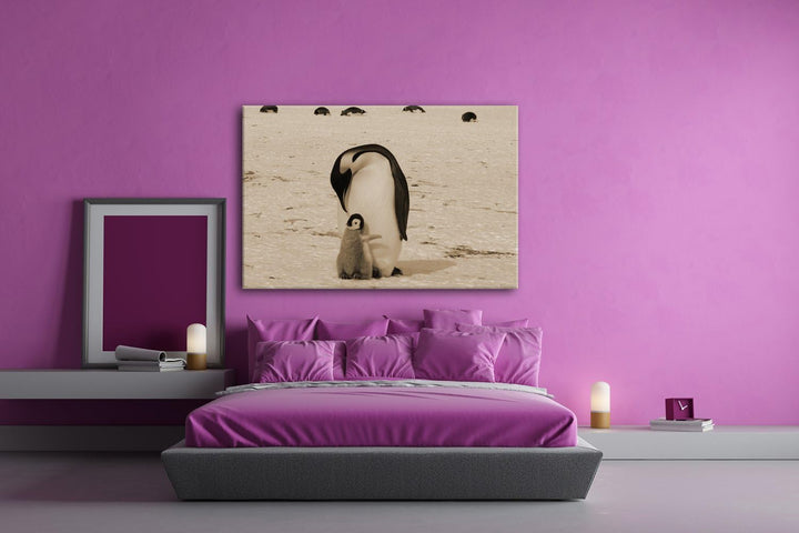 deyoli süsse Kaiserpinguine in der Antarktis Format: 100x70 Effekt: Sepia als Leinwandbild, Motiv fe