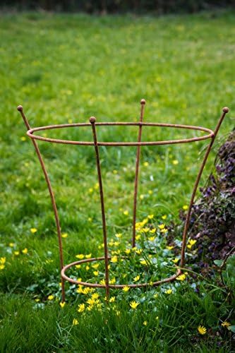 KUHEIGA Stabiler Staudenhalter Rost H: 60cm, Volleisen Strauchhalter, Rankgerüst,
