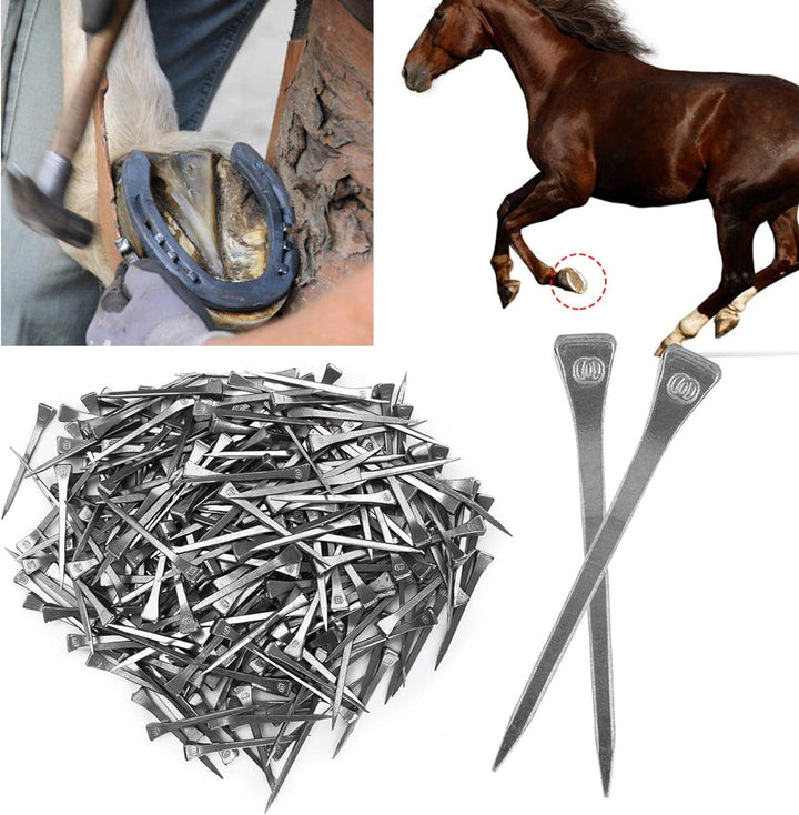 Cikonielf 250Pcs Hufeisen Nägel Stahl Huf Peg Hufeisen Zubehör Fest Hufeisen Nägel Pferd Werkzeug Zu