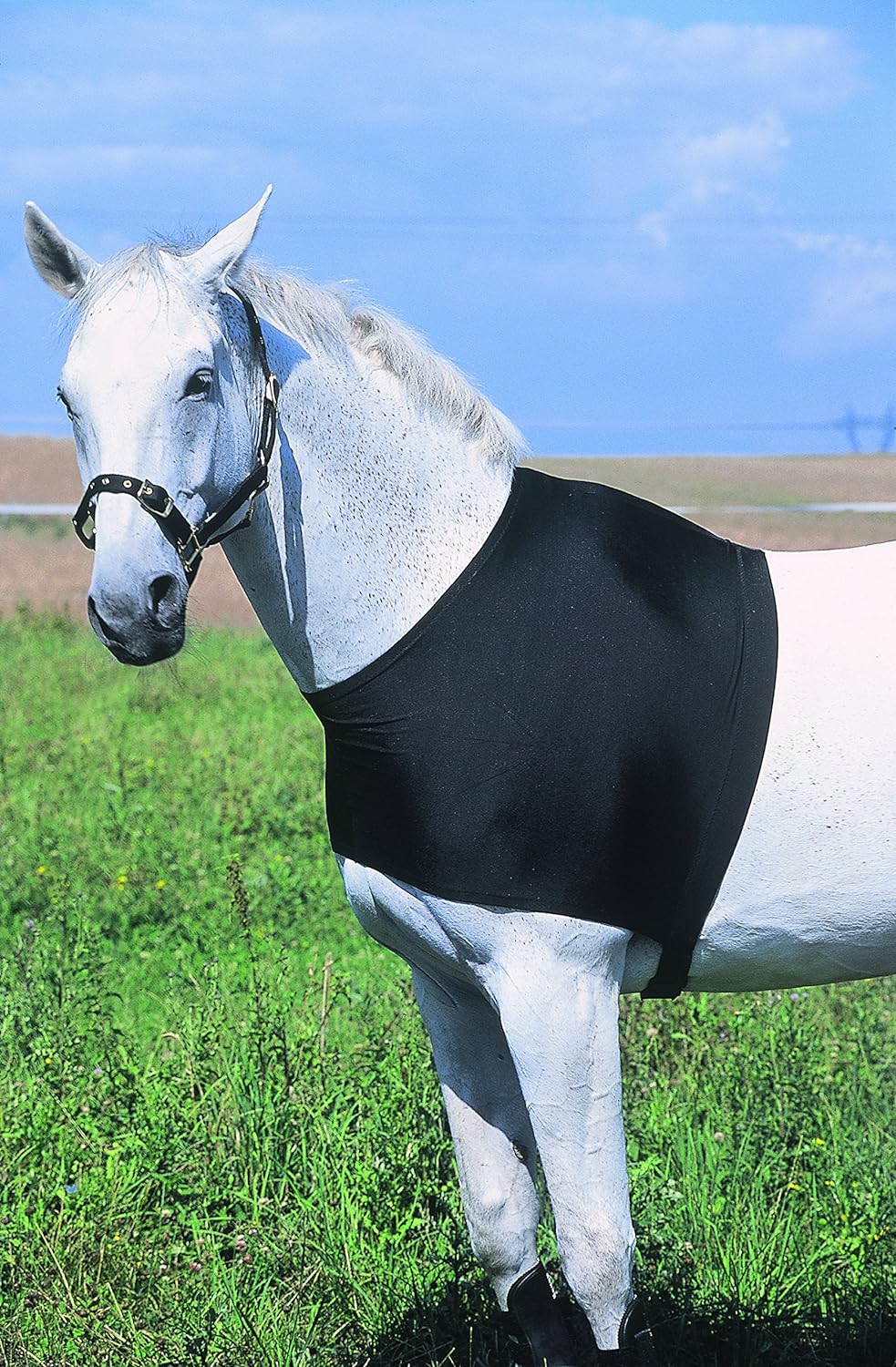 Equi-Theme/Equit'M L Schwarz, L Schwarz