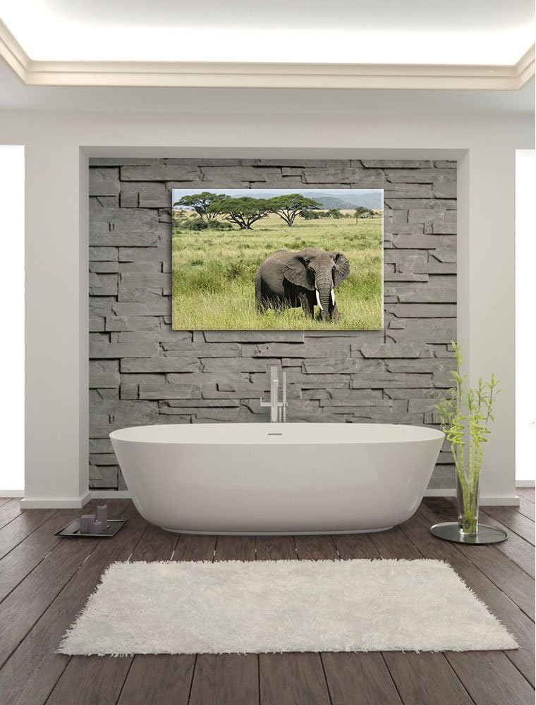 gigantischer Elefant in der Savanne Leinwand, XXL riesige Bilder fertig gerahmt mit Keilrahmen, Kuns