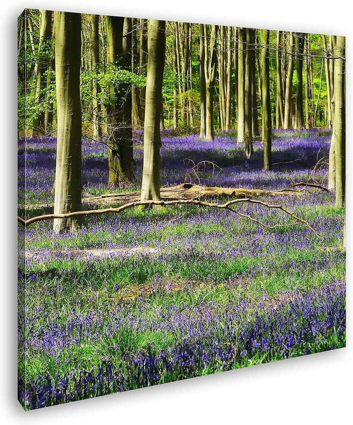 deyoli Lavendel Blumen im Wald Format: 70x70 als Leinwand, Motiv fertig gerahmt auf Echtholzrahmen,