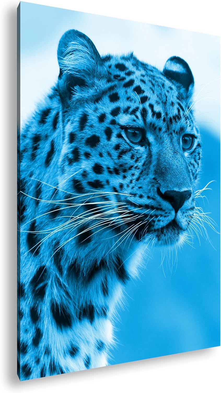 deyoli süsser Leopard Format 80x60 Effekt: Monocrome Blau als Leinwandbild, Motiv fertig gerahmt auf