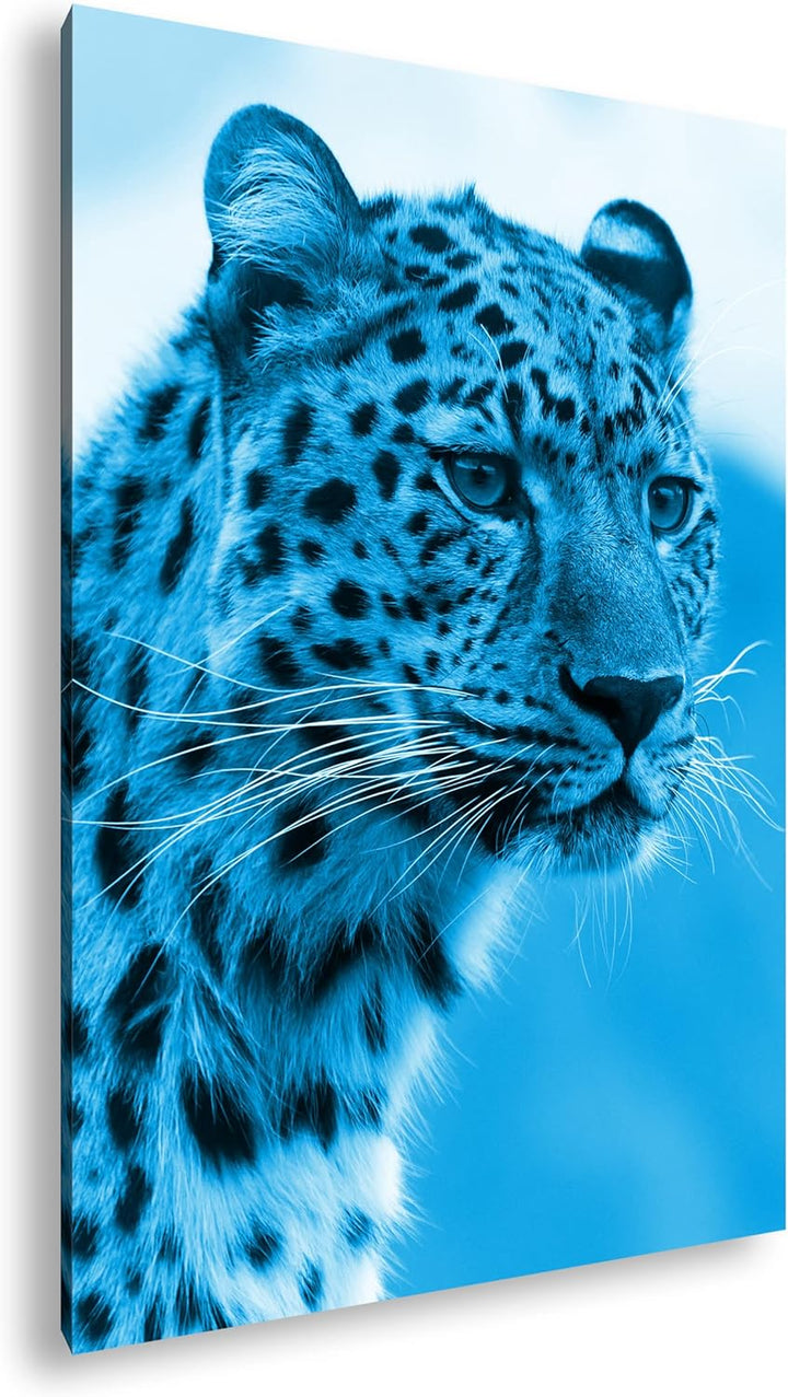 deyoli süsser Leopard Format 80x60 Effekt: Monocrome Blau als Leinwandbild, Motiv fertig gerahmt auf
