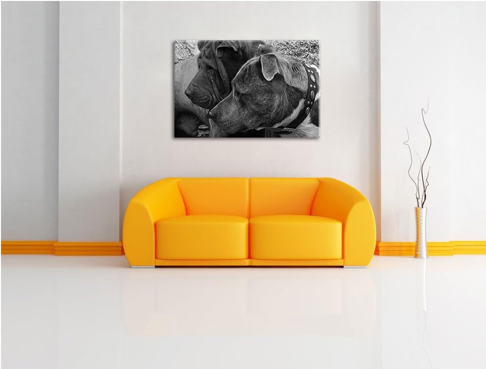 Pixxprint Zwei Hunde im Profil auf Leinwand, XXL riesige Bilder fertig gerahmt mit Keilrahmen, Kunst