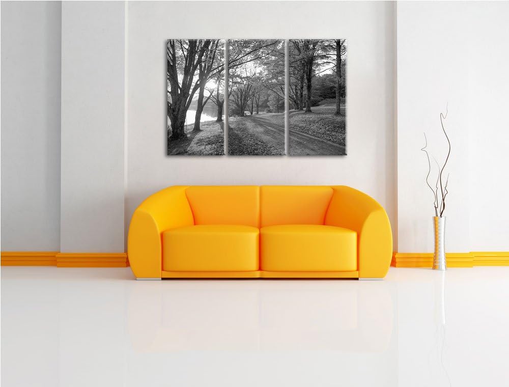 Herbstlicher Park am See schwarz/weiss 3-Teiler Leinwandbild 120x80 Bild auf Leinwand, XXL riesige B