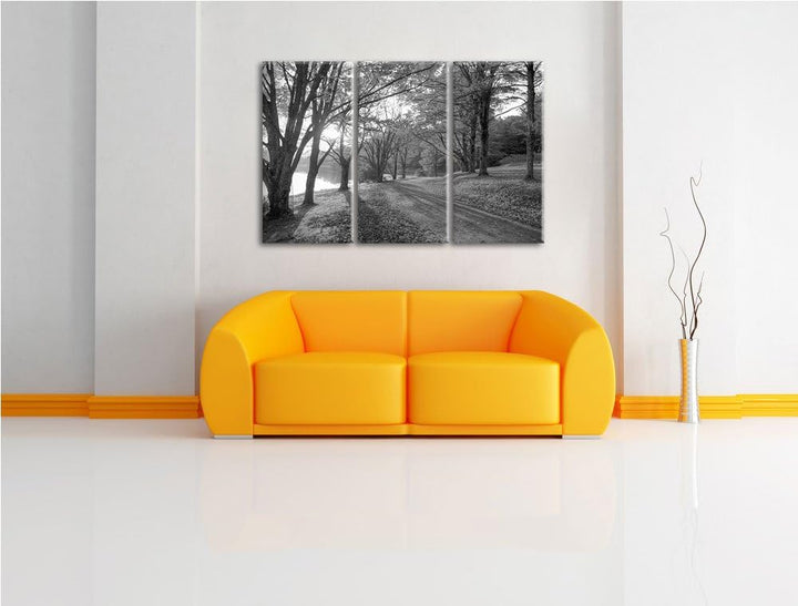 Herbstlicher Park am See schwarz/weiss 3-Teiler Leinwandbild 120x80 Bild auf Leinwand, XXL riesige B
