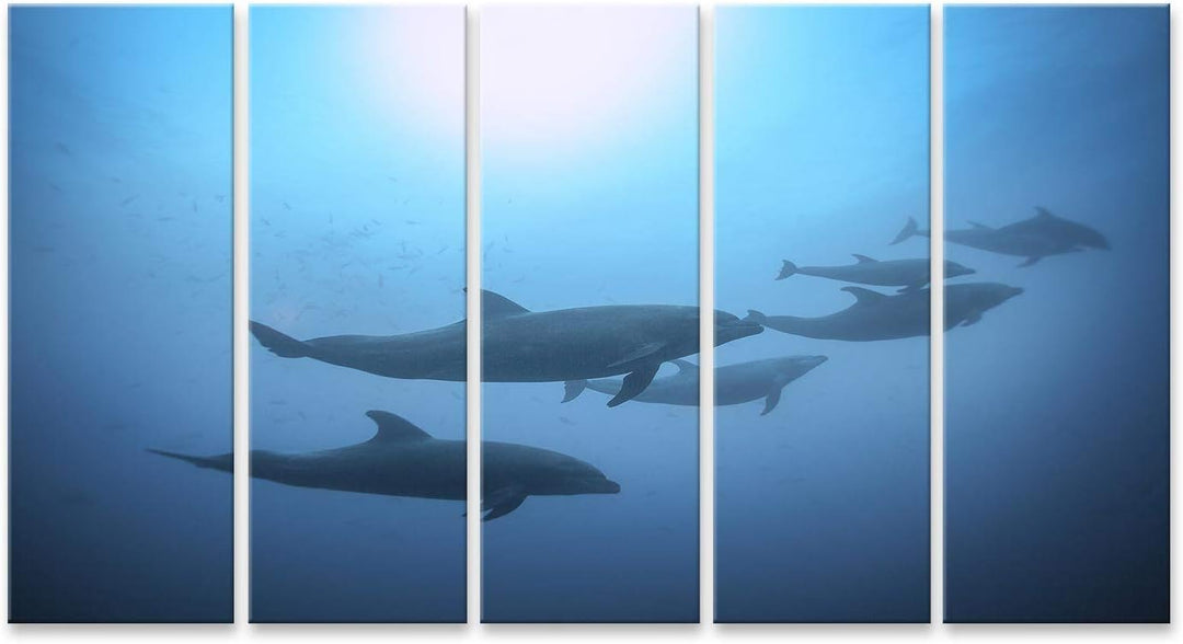 islandburner Bild auf Leinwand Delfine Blick Unter Wasser Im Meer Wandbild Poster Kunstdruck Bilder,