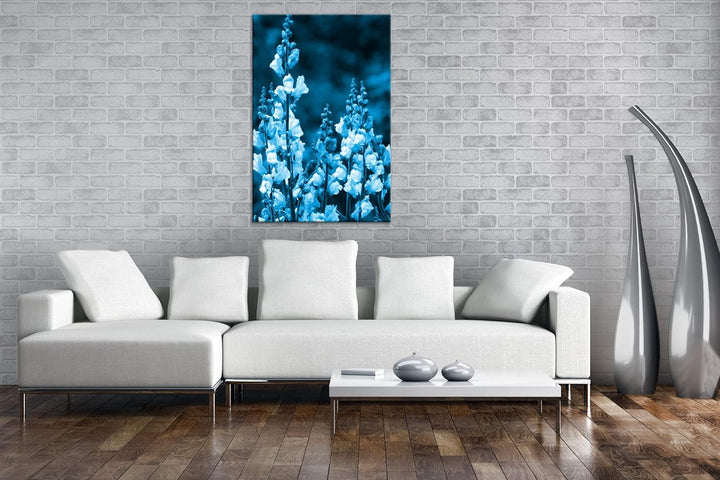 deyoli Löwenmaul Wildblume Format 80x60 Effekt: Monocrome Blau als Leinwandbild, Motiv fertig gerahm