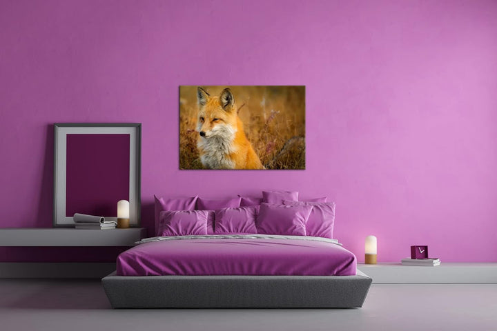 deyoli ruhiger Fuchs Format:75x50 cm als Leinwandbild, Motiv fertig gerahmt auf Echtholzrahmen, Hoch