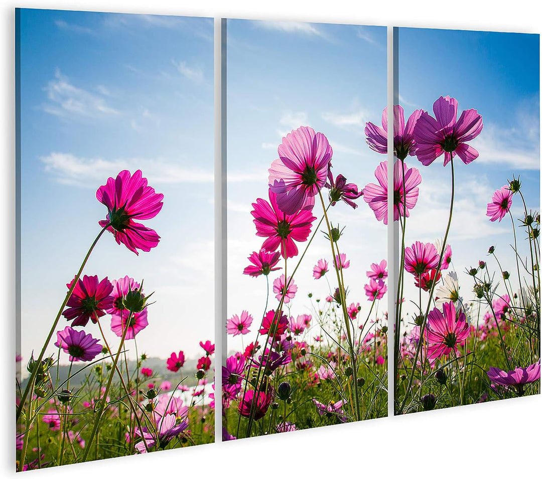islandburner Bild auf Leinwand Blumenfeld Pink Blauer Himmel Bilder Wandbilder Poster