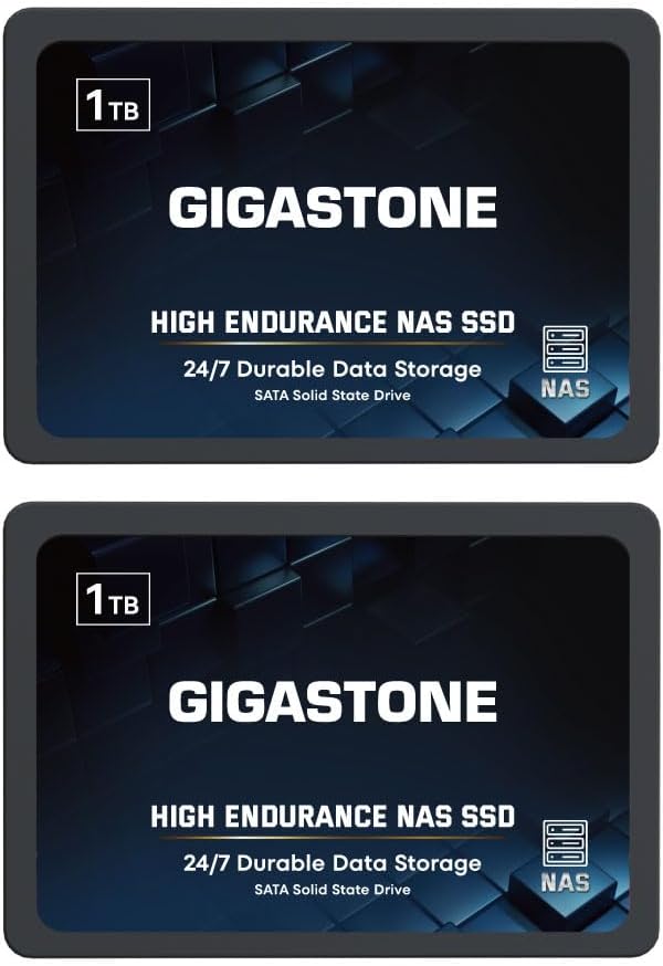 Gigastone NAS SSD 1TB Enterprise SSD Festplatte (2er-Pack) TLC Hohe Dauerhaltbarkeit Server SSD für