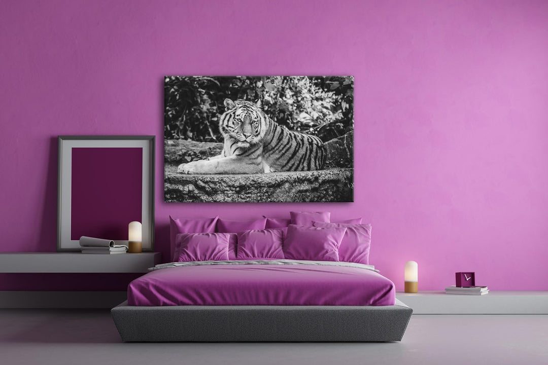 deyoli Majestätischer Tiger Format: 80x60 Effekt: Schwarz/Weiss als Leinwandbild, Motiv fertig gerah