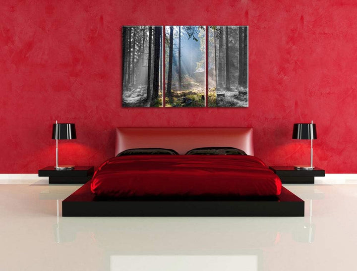 Häuschen im Wald mit Sonnenstrahlen schwarz/weiss 3-Teiler Leinwandbild 120x80 Bild auf Leinwand, XX