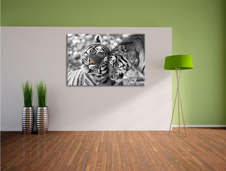 Pixxprint Zwei liebkosende Tiger B&W Detail, Format: 100x70 auf Leinwand, 100x70