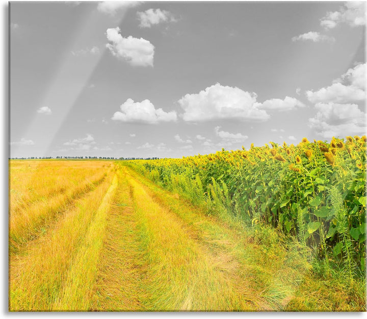 Feldweg Sonnenblumen Herdabdeckplatte & Spritzschutz aus Echtglas | Für Herd-Kochfelder | 60x52 cm