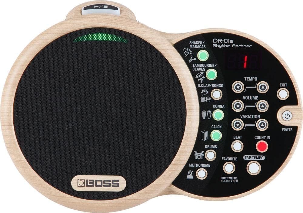 BOSS DR-01S Rhythm Partner für akustische Musiker – Begleiter für akustische Gitarre und Vocals & BO