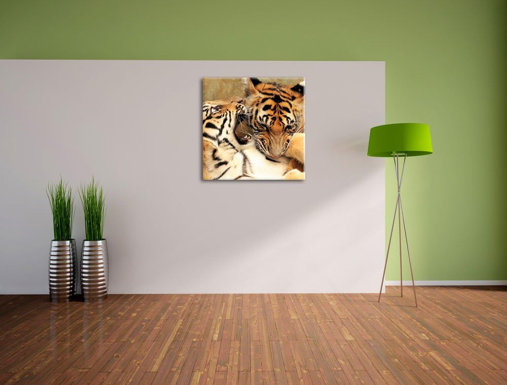Pixxprint Zwei Junge Tiger beim Kämpfen als Leinwandbild | Grösse: 70x70 cm | Wandbild| Kunstdruck |