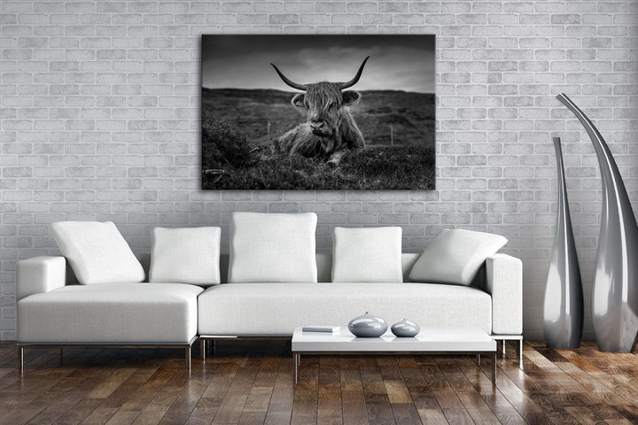 deyoli pelziges Rind auf schottischer Landschaft Effekt: Schwarz/Weiss im Format: 60x40 als Leinwand