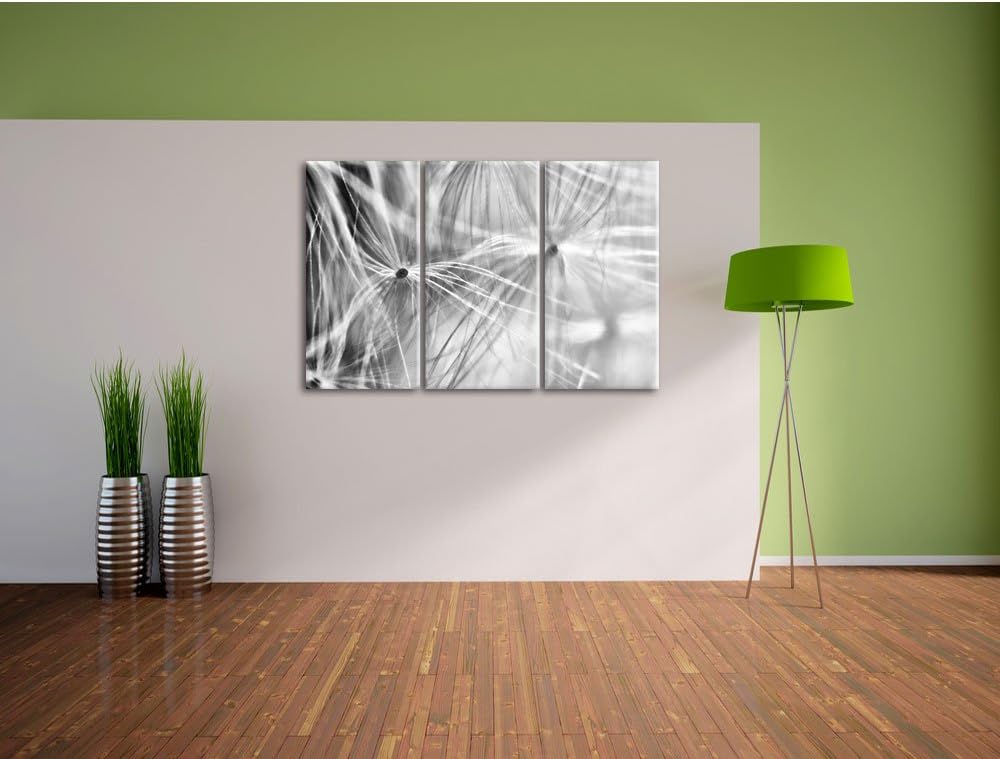 Pixxprint zarte Pusteblumenpollen als Leinwandbild/Grösse: 3 Teilig (120x80) cm/Wandbild/Kunstdruck/