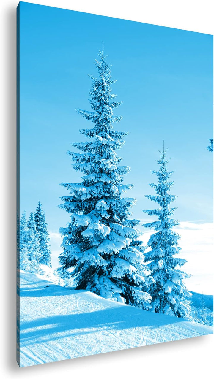 deyoli Schnee bedeckte Tannen Format 80x60 Effekt: Monocrome Blau als Leinwandbild, Motiv fertig ger