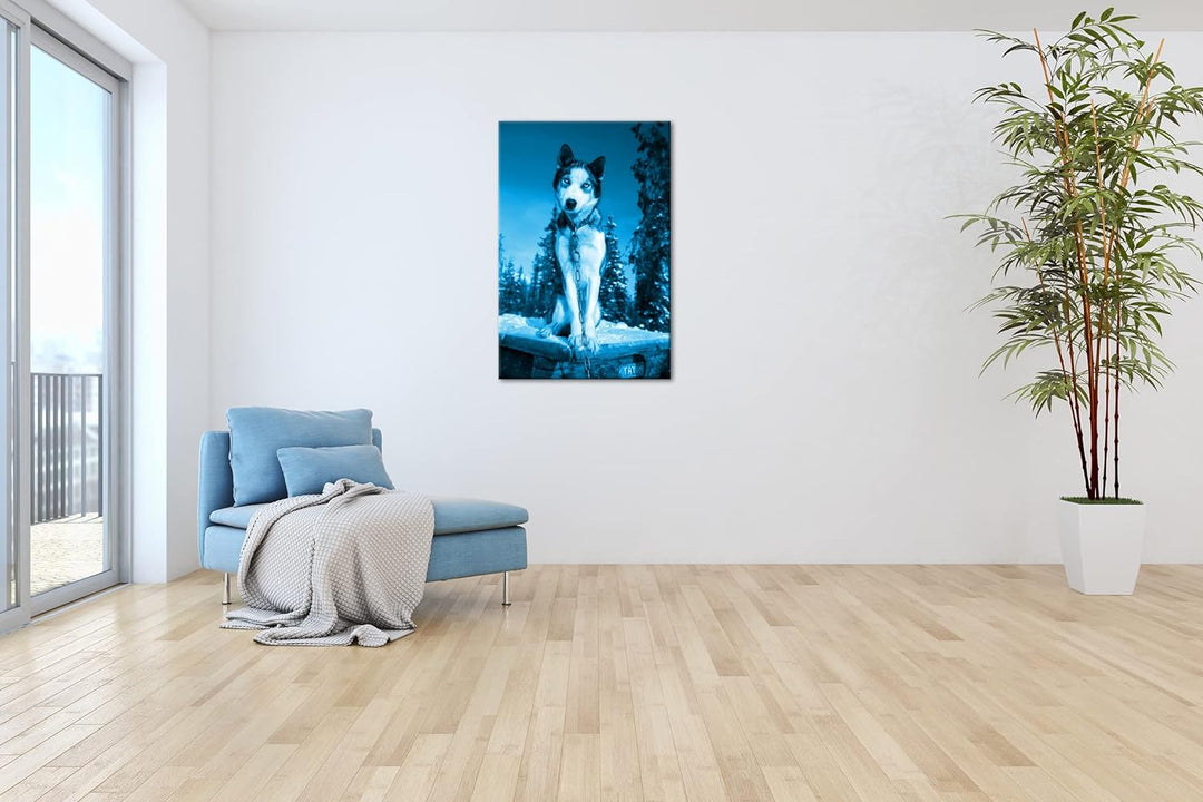 deyoli knuffiger Husky Format 80x60 Effekt: Monocrome Blau als Leinwandbild, Motiv fertig gerahmt au