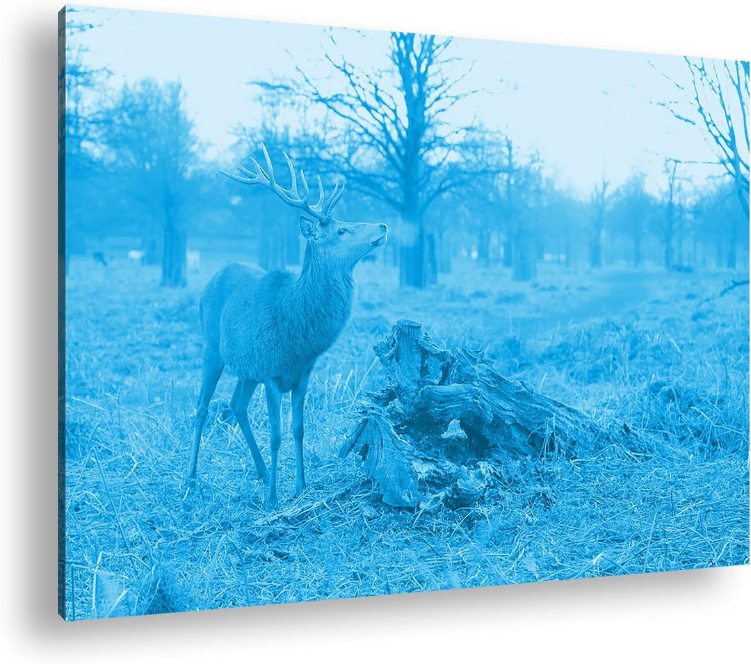 deyoli Majestätischer Hirsch Format 80x60 Effekt: Monocrome Blau als Leinwandbild, Motiv fertig gera