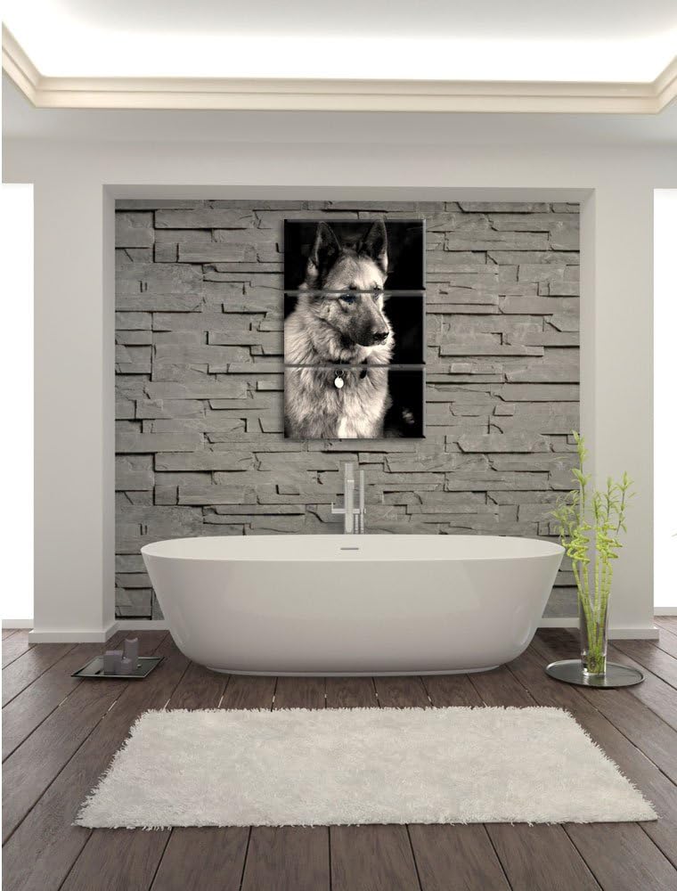 Pixxprint Zwei Hunde auf dem Teppich als Leinwandbild/Grösse: 3 Teilig (120x80 cm) cm/Wandbild/Kunst