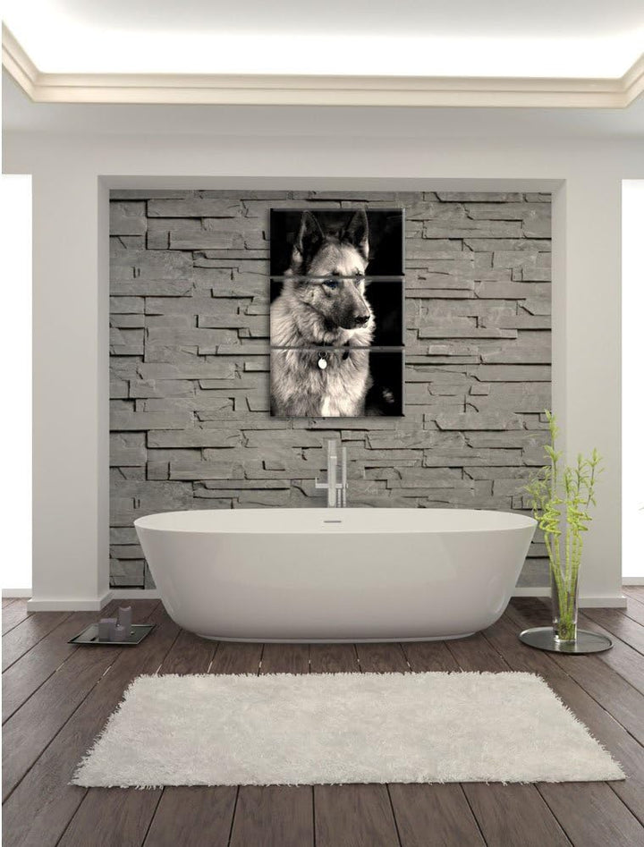 Pixxprint Zwei Hunde auf dem Teppich als Leinwandbild/Grösse: 3 Teilig (120x80 cm) cm/Wandbild/Kunst