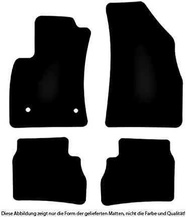 Bär-AfC Auto Fussmatten Doppelrippe passend für FIAT Doblo 2/263 ab 2010 + FL ab 2015, Autoteppiche
