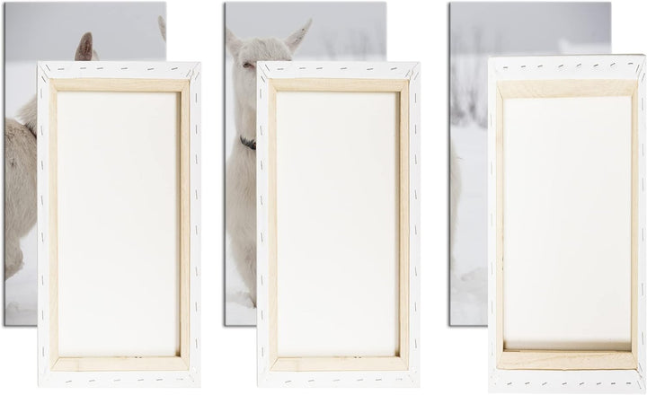 deyoli weisse Ziegen im Schnee Format: 3-teilig 120x80 als Leinwand, Motiv fertig gerahmt auf Echtho
