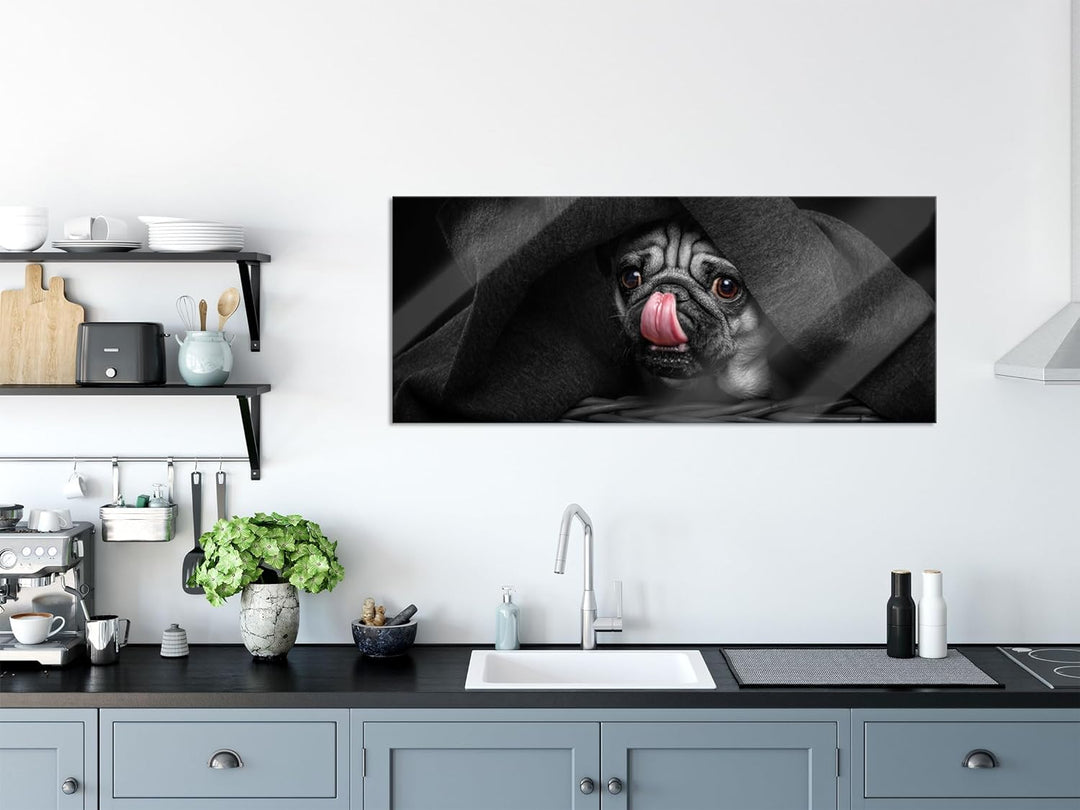 Glasbild Panorama | Wandbild aus Echtglas | Süsser Mops unter der Decke | 100x40 cm | inkl. Aufhängu