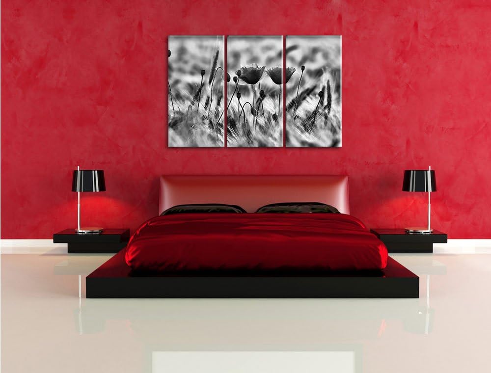 Pixxprint Zwei schöne Mohnblumen als Leinwandbild/Grösse: 3 Teilig (120x80) cm/Wandbild/Kunstdruck/f