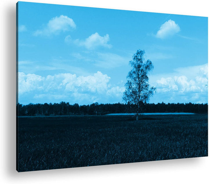 deyoli Wiese am Waldrand Format 80x60 Effekt: Monocrome Blau als Leinwandbild, Motiv fertig gerahmt