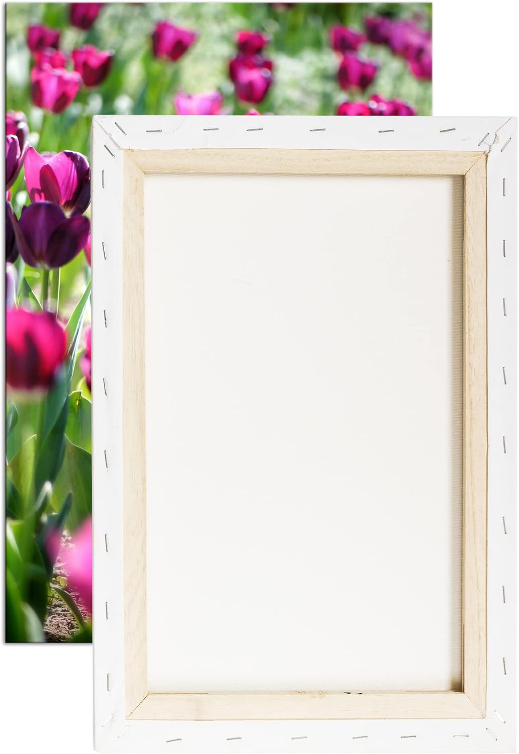 deyoli violette Tulpen Format: 80x60 als Leinwand, Motiv fertig gerahmt auf Echtholzrahmen, Hochwert