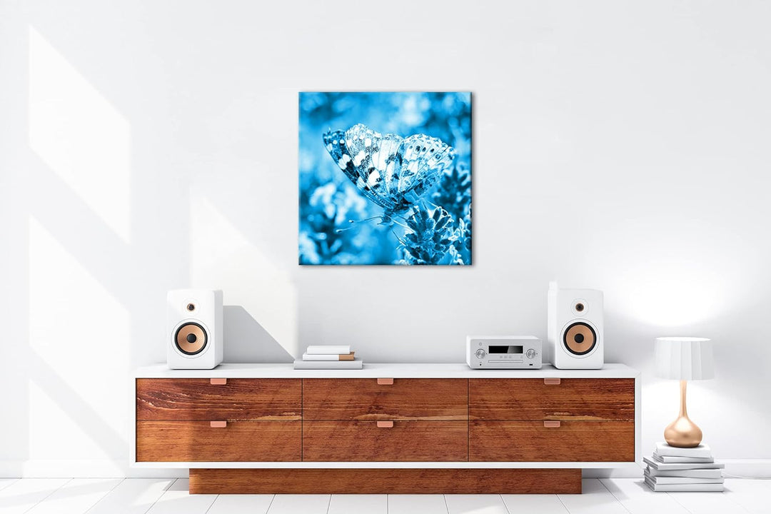 deyoli süsser Schmetterling Format: 70x70 Effekt: Monocrome Blau als Leinwandbild, Motiv fertig gera