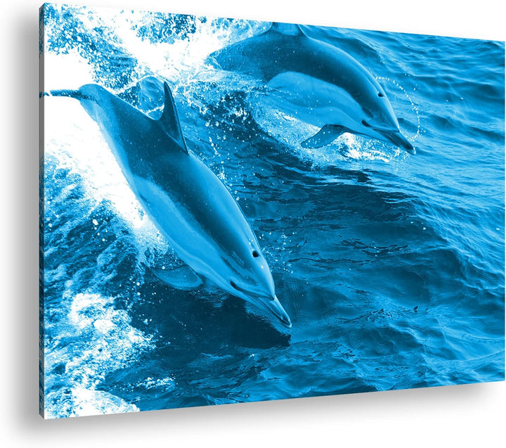 deyoli Verspieltes Delphin paar Format 80x60 Effekt: Monocrome Blau als Leinwandbild, Motiv fertig g