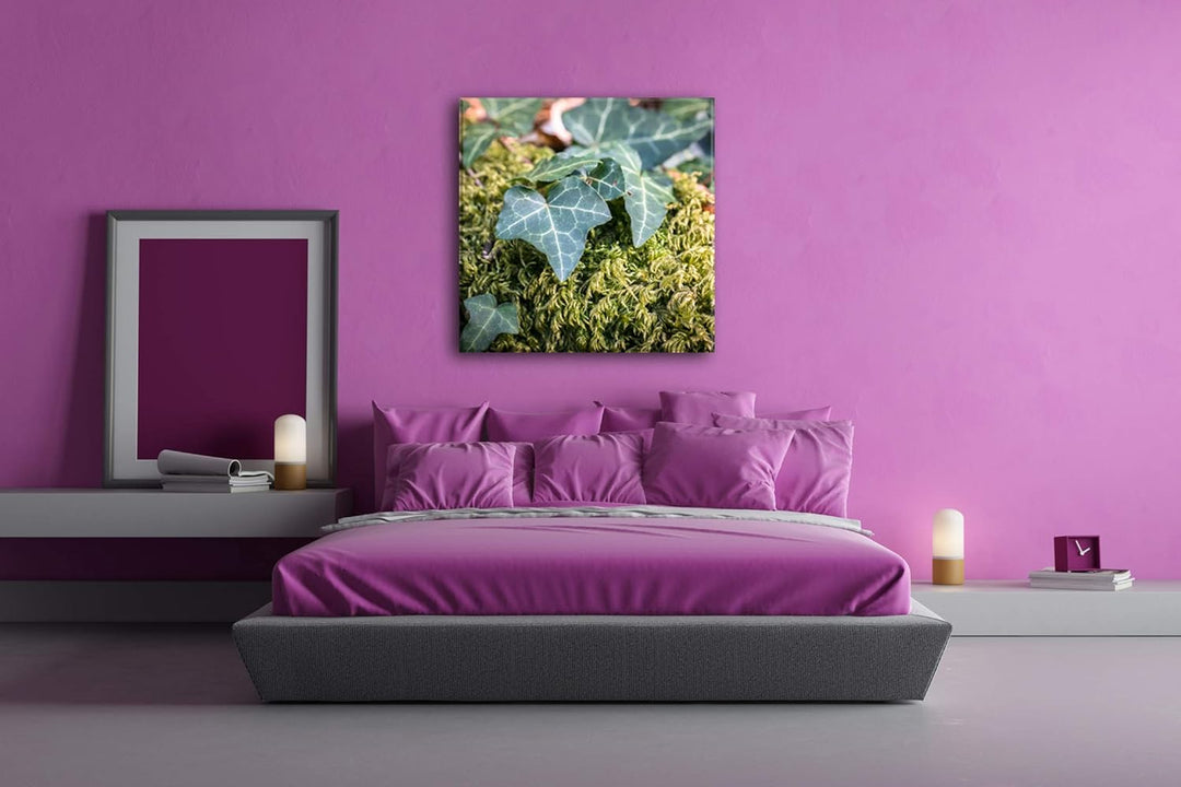 deyoli Moos und Efeu bedeckter Boden Format: 70x70 als Leinwandbild, Motiv fertig gerahmt auf Echtho