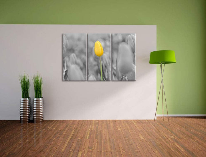 Gelbes Tulpenmeer schwarz/weiss 3-Teiler Leinwandbild 120x80 Bild auf Leinwand, XXL riesige Bilder f