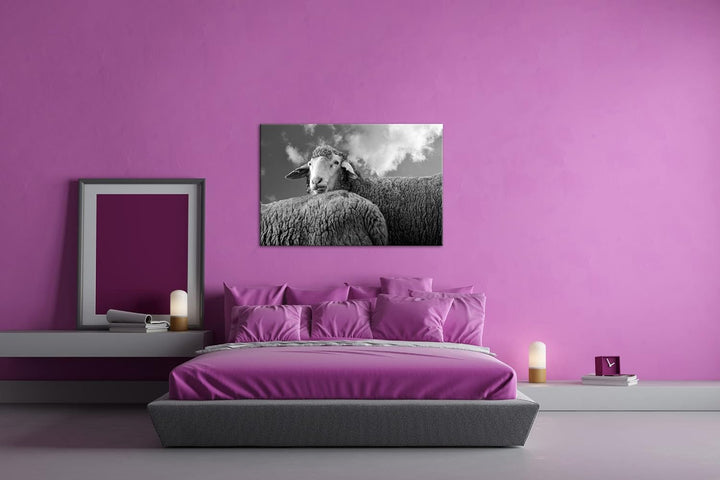 deyoli lustiges Schaf Format:90x60 cm als Leinwandbild, Motiv fertig gerahmt auf Echtholzrahmen, Hoc