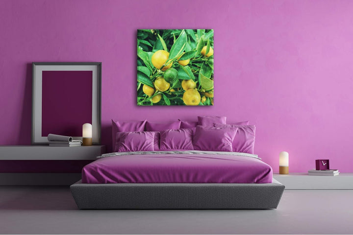 deyoli Reife Zitronen am Baum Format: 70x70 als Leinwand, Motiv fertig gerahmt auf Echtholzrahmen, H