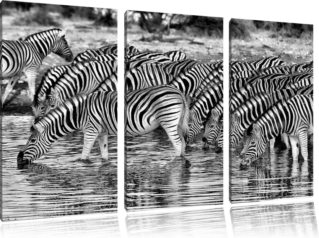 Pixxprint Zebras Safari Afrika/Format: 3-Teiler (120x80cm) cm/Leinwandbild fertig bespannt Wandbild