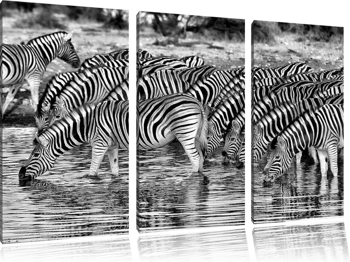 Pixxprint Zebras Safari Afrika/Format: 3-Teiler (120x80cm) cm/Leinwandbild fertig bespannt Wandbild